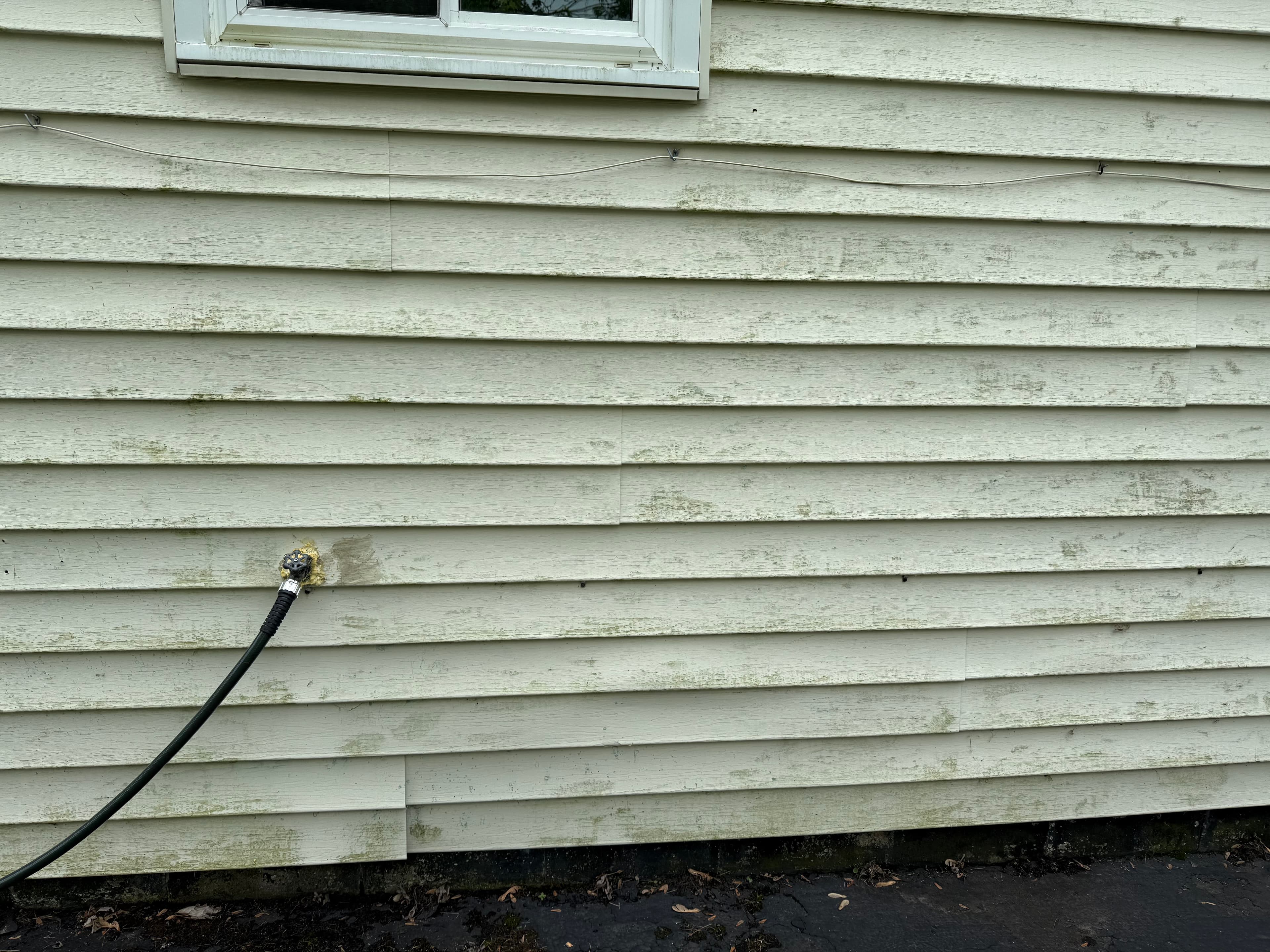 Before: House Exterior Restoration