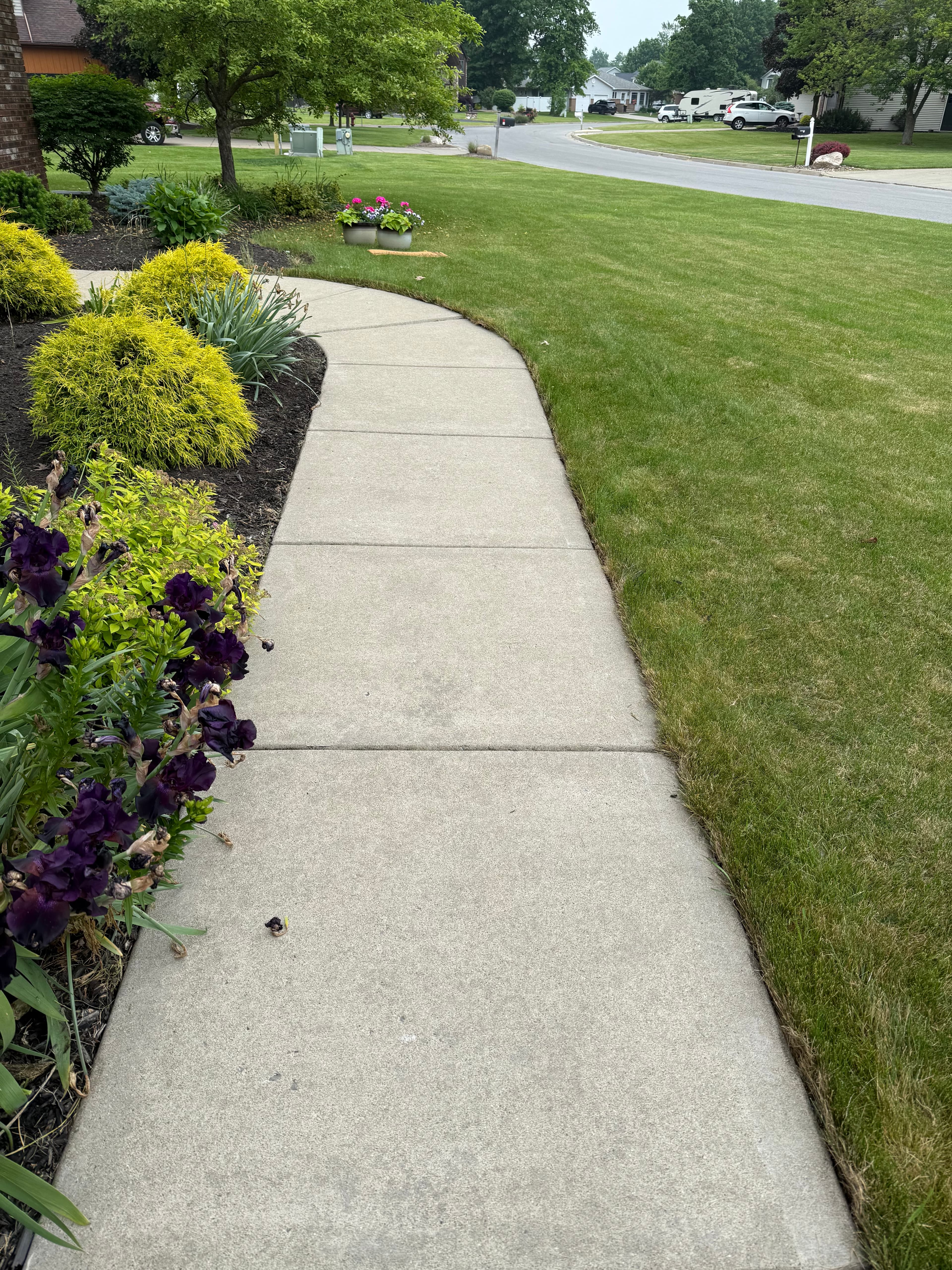 After: Concrete Walkway Revival