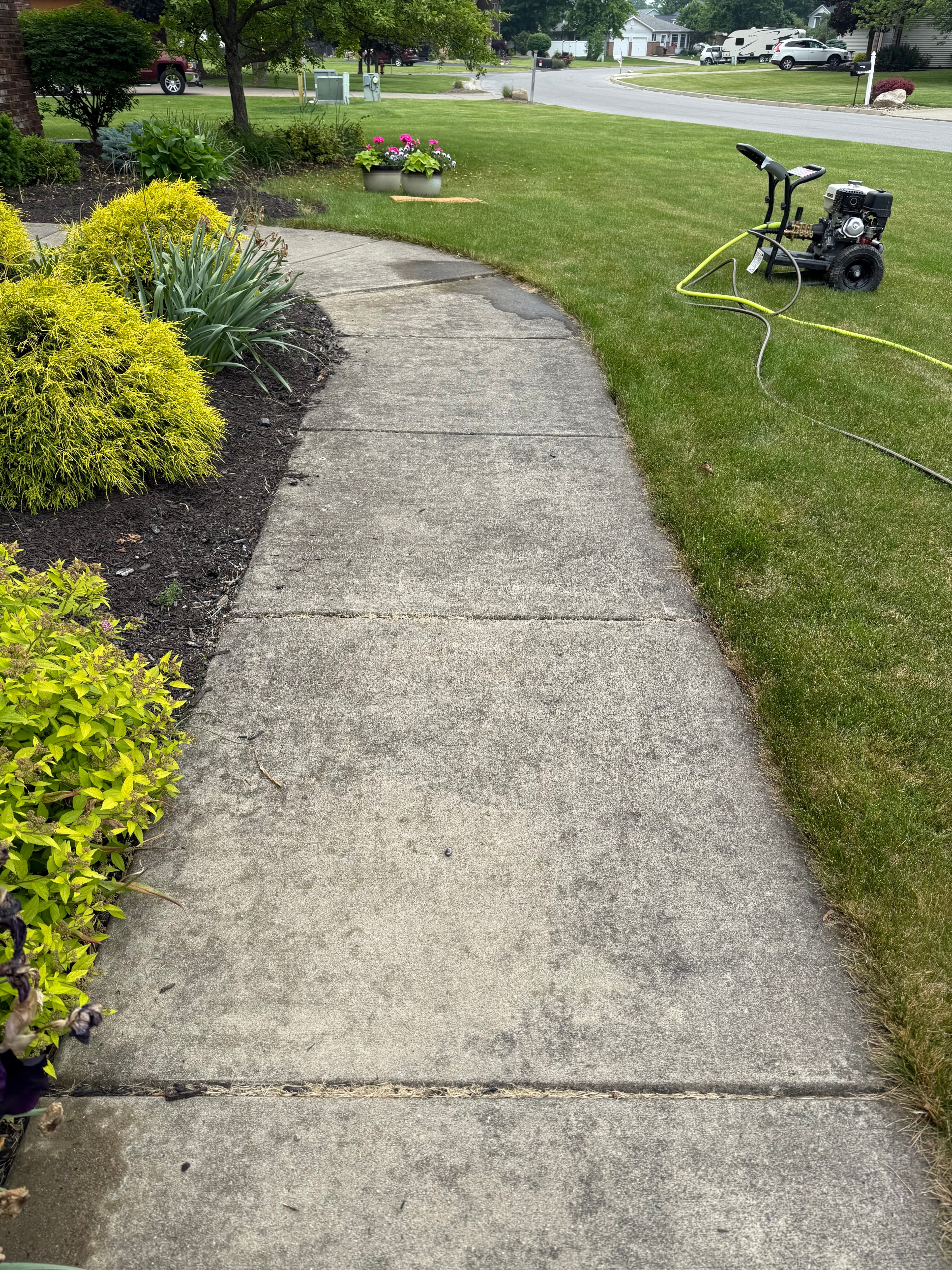 Before: Concrete Walkway Revival